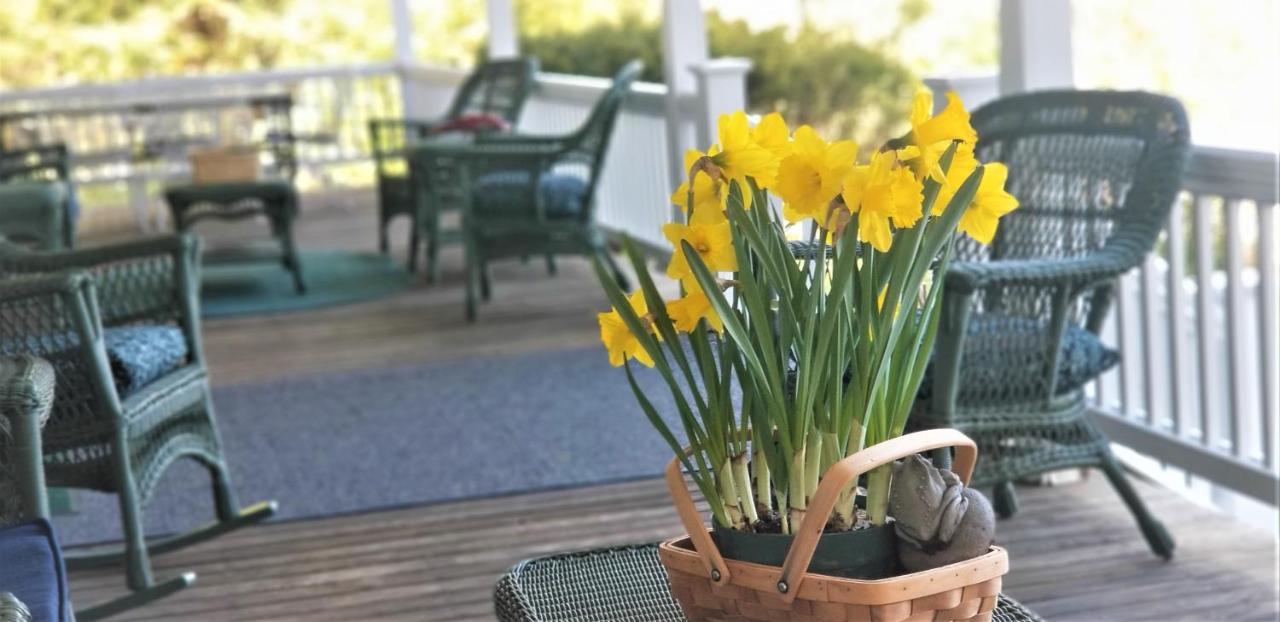 Timbercliffe Cottage Inn Κάμντεν Εξωτερικό φωτογραφία