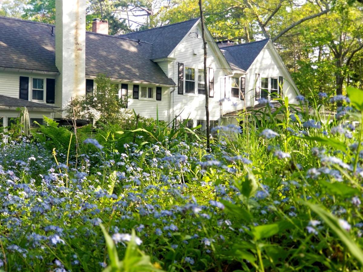 Timbercliffe Cottage Inn Κάμντεν Εξωτερικό φωτογραφία