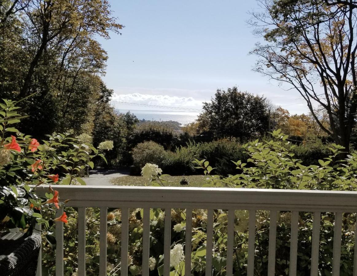 Timbercliffe Cottage Inn Κάμντεν Εξωτερικό φωτογραφία